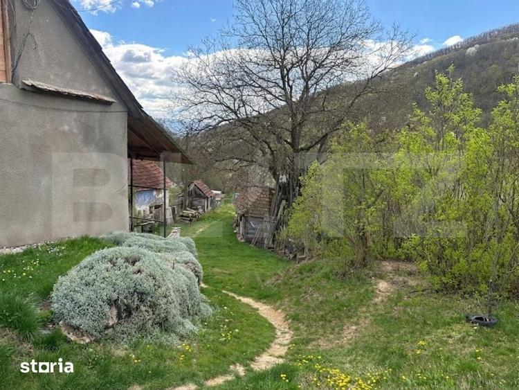 Casă cu 4 camere cu Teren 12186 Mp în Rapoltu Mare