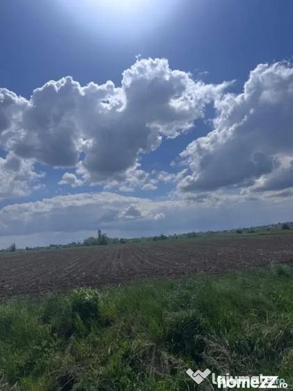 Teren de 7800 mp, în Rădăuți