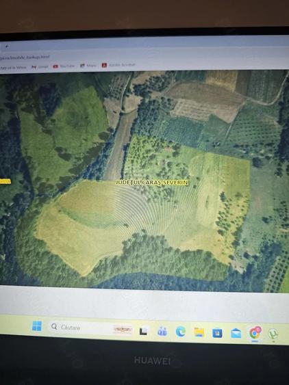 Teren de 50000 mp, în Sichevița