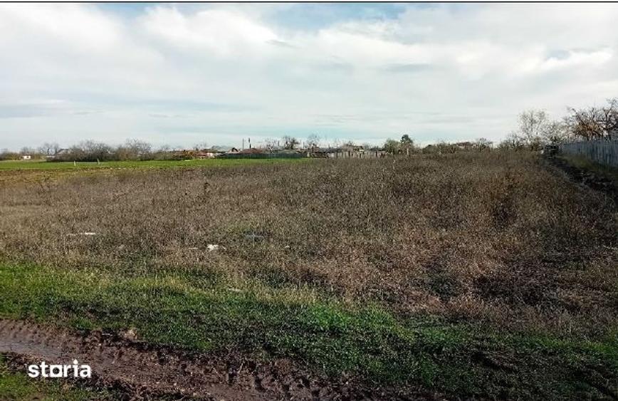 Teren de 1578 mp, în Mălureni
