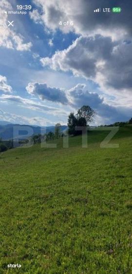 Teren de 4500 mp, în Vidra