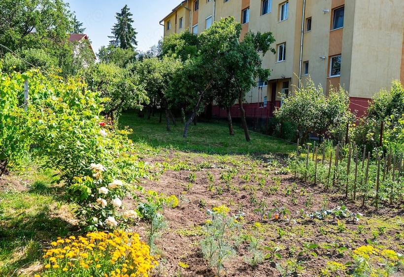 Casă cu Teren 17 Mp în Central