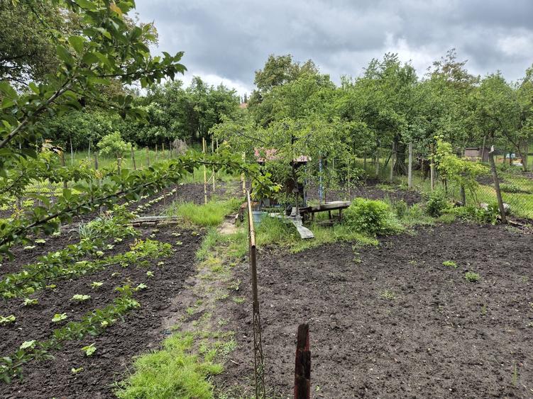 Casă cu 3 camere cu Teren 487 Mp în Târnăveni
