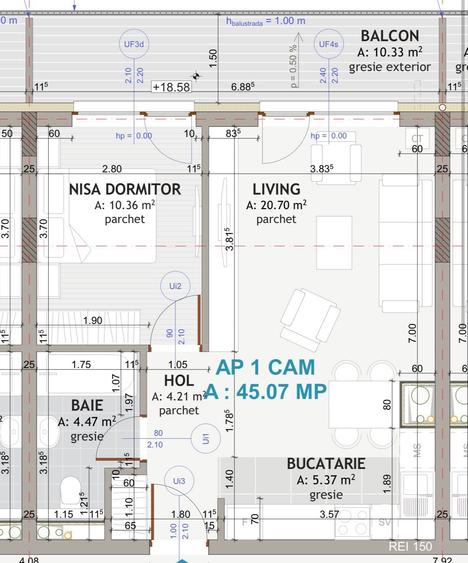 Apartament cu 2 camere semidecomandat în Florești