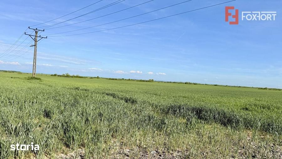 Teren de 522 mp, în Remetea Mare