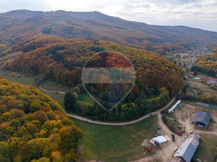 Teren agricol extravilan de 9540 mp, în Teliu