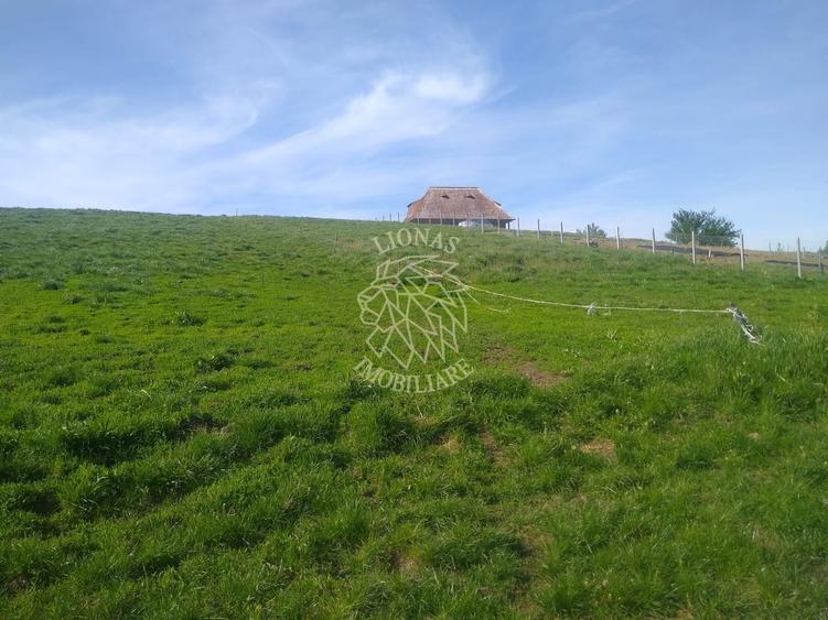 Teren agricol extravilan de 2500 mp, în Monariu