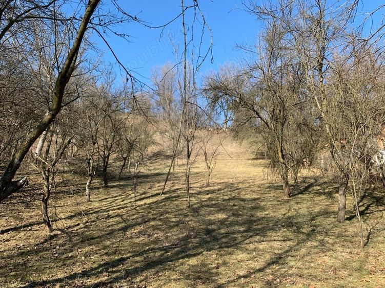 Teren de 2000 mp, în Valea