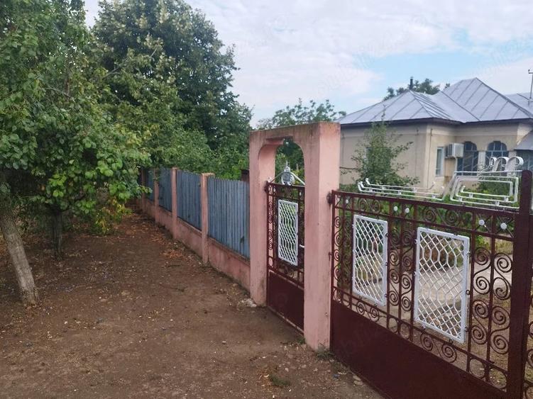 Casă cu Teren 4000 Mp în Calopăr