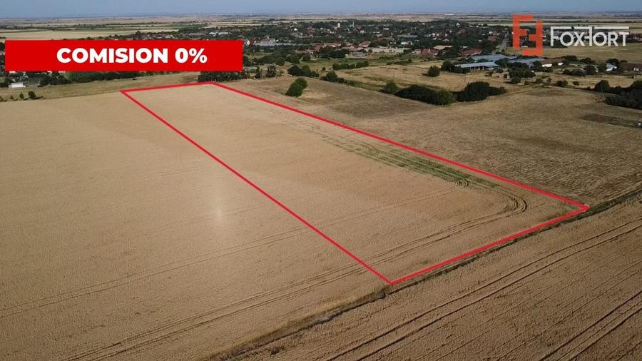 Teren Construcții intravilan de 24700 mp, în Pădureni (Jebel)