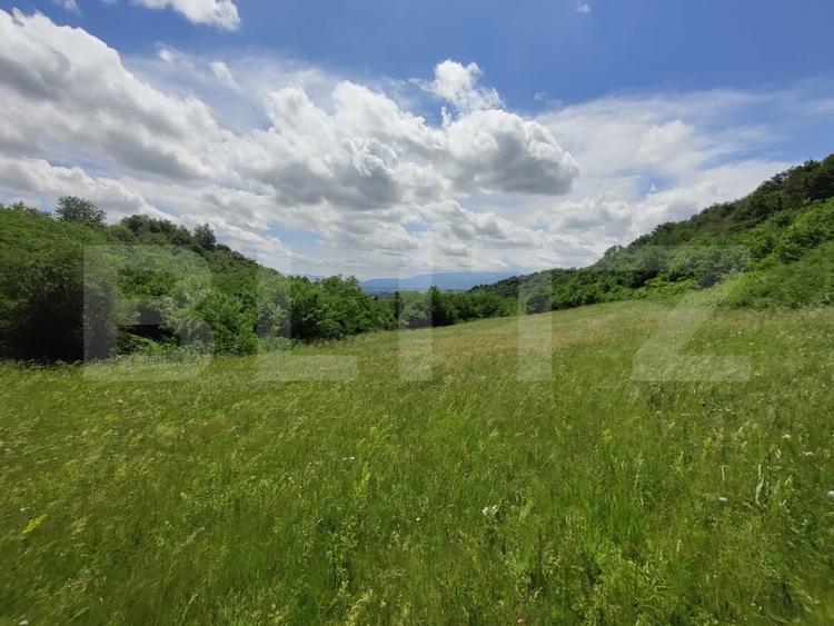 Teren agricol extravilan de 28500 mp, în Gușterița