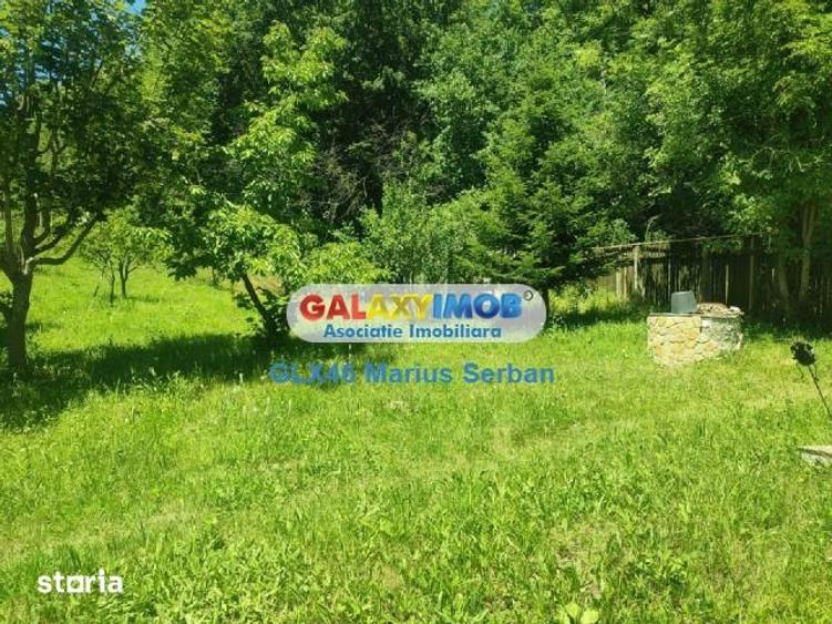 Casă cu 5 camere cu Teren 3657 Mp în Valea