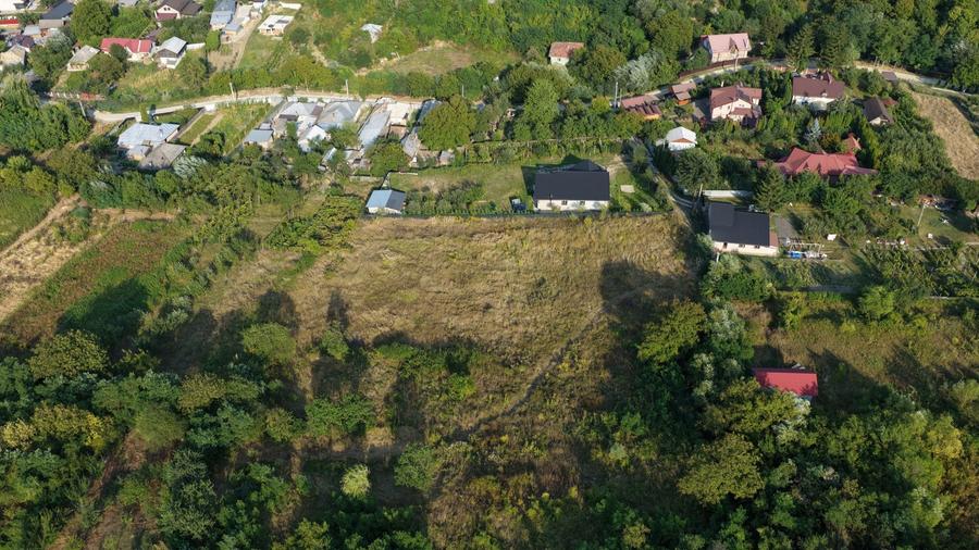 Teren Construcții intravilan de 8000 mp, în Gârlenii de Sus
