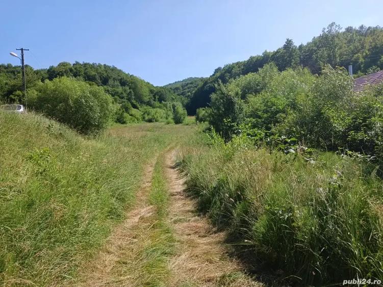 Teren de 8600 mp, în Țărățel