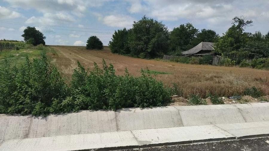 Teren de 5400 mp, în Filipești