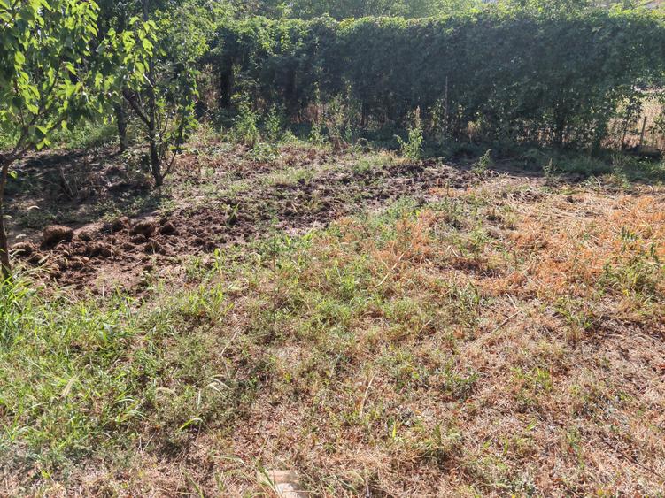 Teren Construcții intravilan de 425 mp, în Liviu Rebreanu