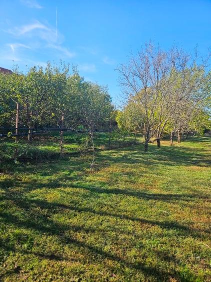 Proprietar Teren intravilan ideal investitie cu iesire la lacul Balotesti - 6