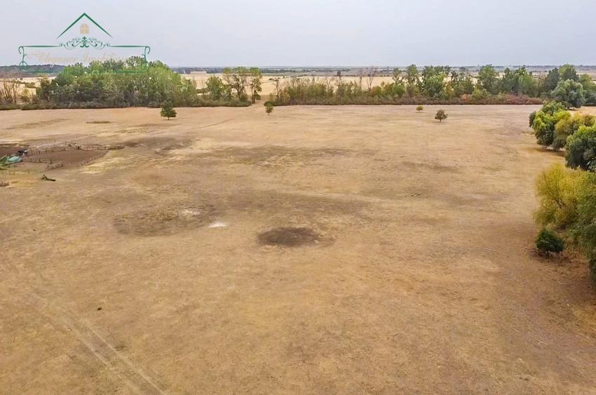 Teren agricol extravilan de 1180000 mp, în Secusigiu