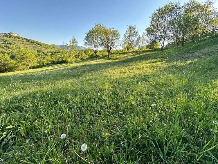 Teren de 975 mp, în Ampoița