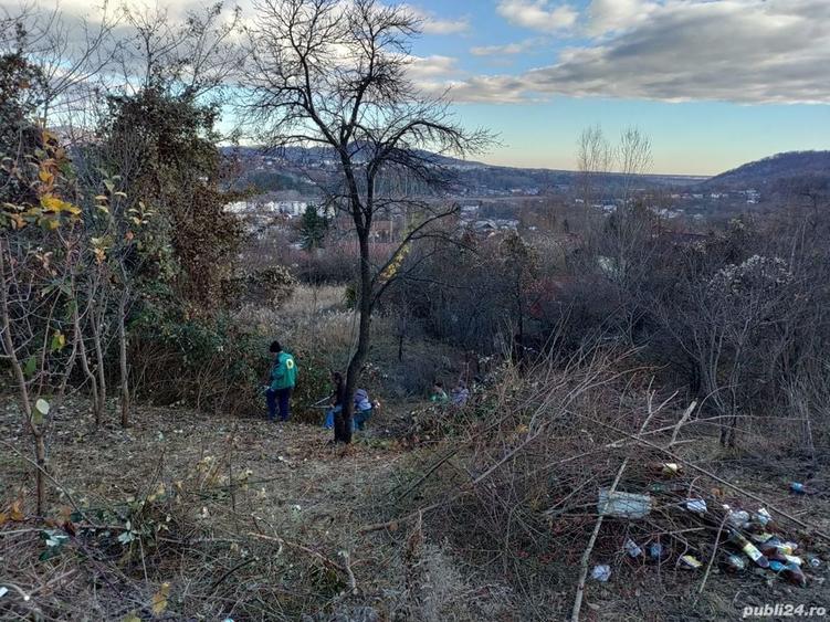 Teren de 4200 mp, în Poiana