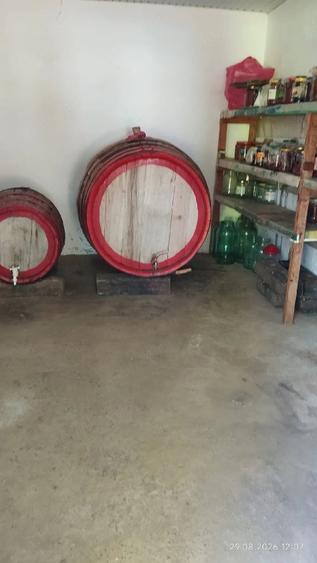 Casă cu Teren 1900 Mp în Sascut