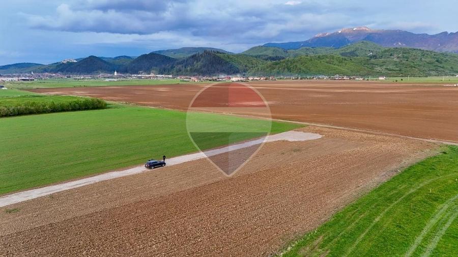 Teren Construcții intravilan de 990 mp, în Pănicel