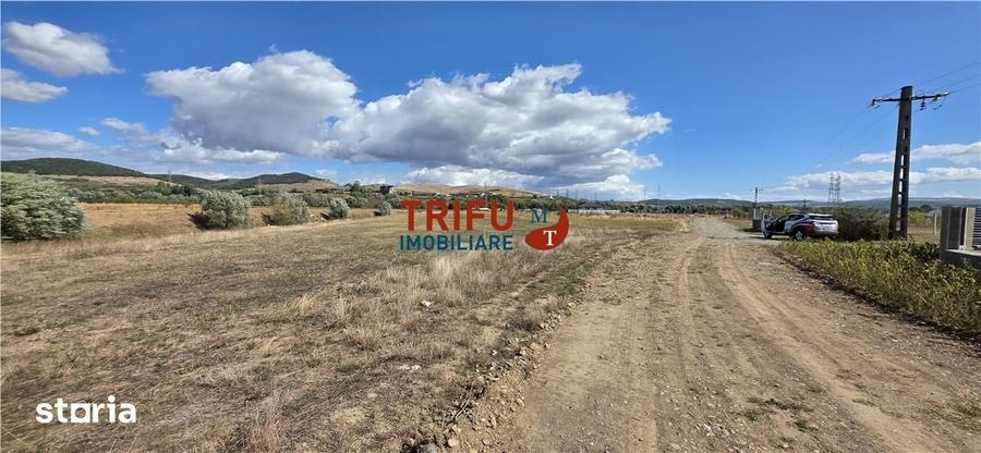 Teren intravilan cu suprafata de 5800 mp pentru investitie - 3