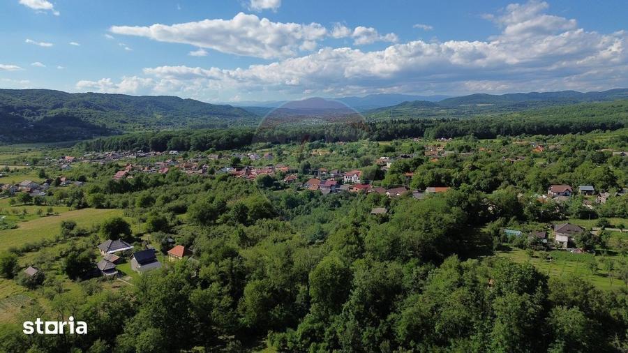 Casa de vanzare in natura la tara - Mihaesti - 10