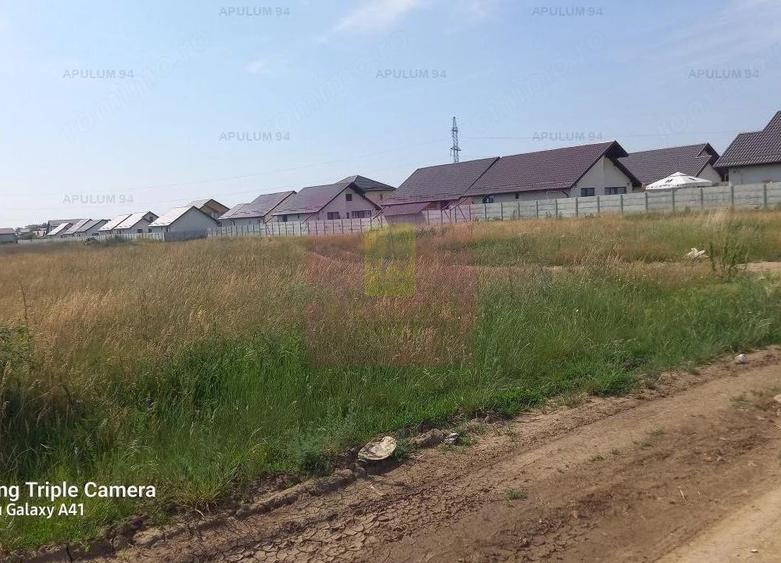 Teren de 9000 mp, în Dobroești