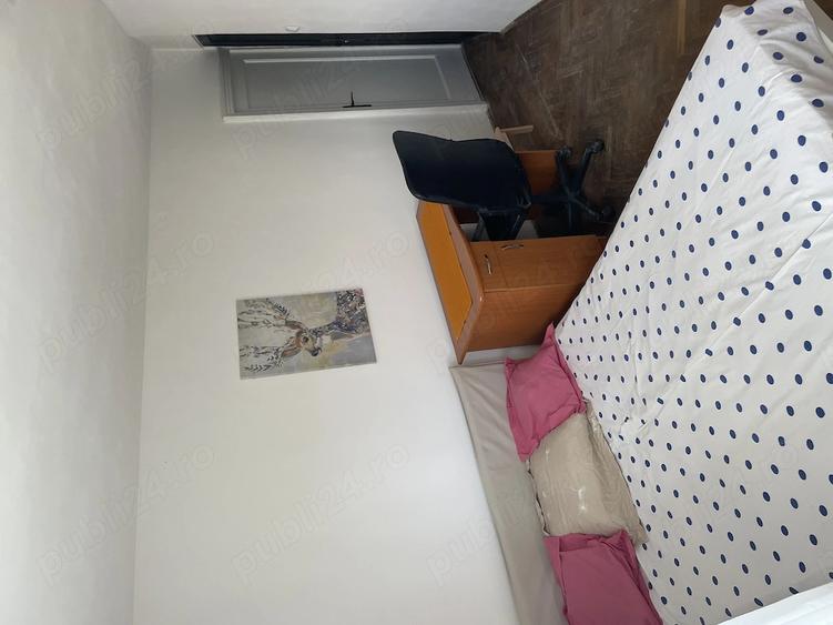 Studio zona centrala 330 euro - 6