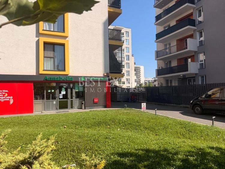 Apartament cu 2 camere decomandat, mobilat în Theodor Pallady