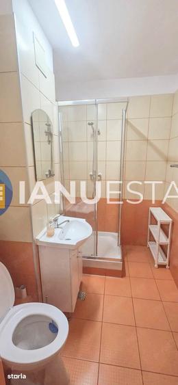 Apartament cu 2 camere decomandat, mobilat în Giurgiului