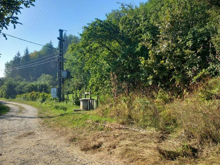 Teren de 2600 mp, în Rădășeni