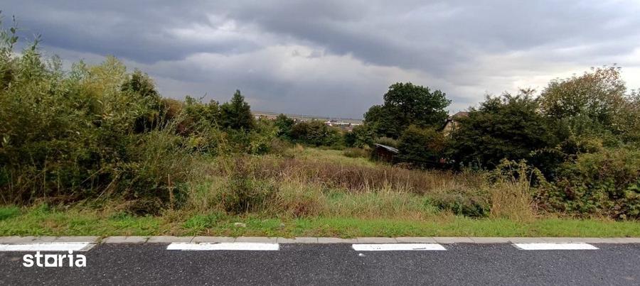 Teren de 2300 mp, în Sud
