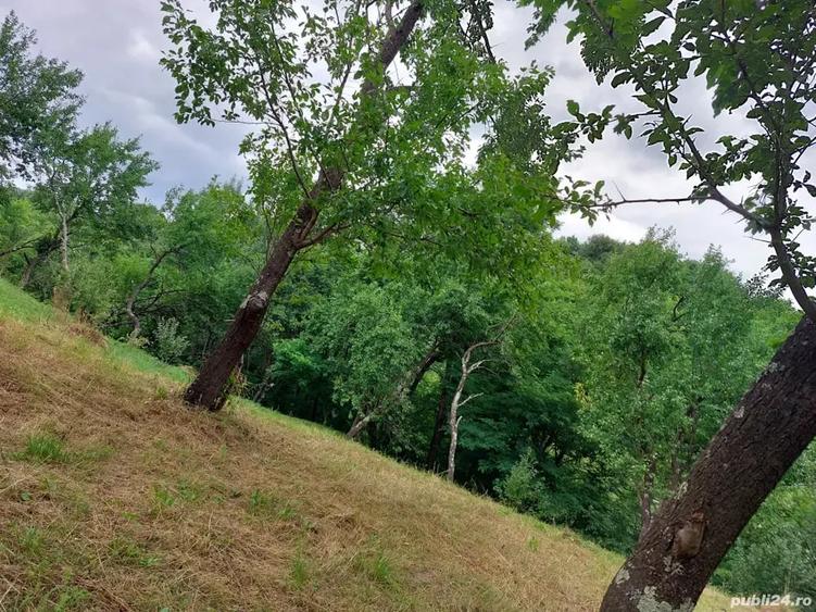Teren în Central