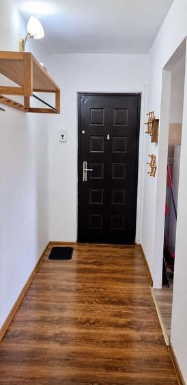 Apartament cu 2 camere semidecomandat, mobilat în Bucovina