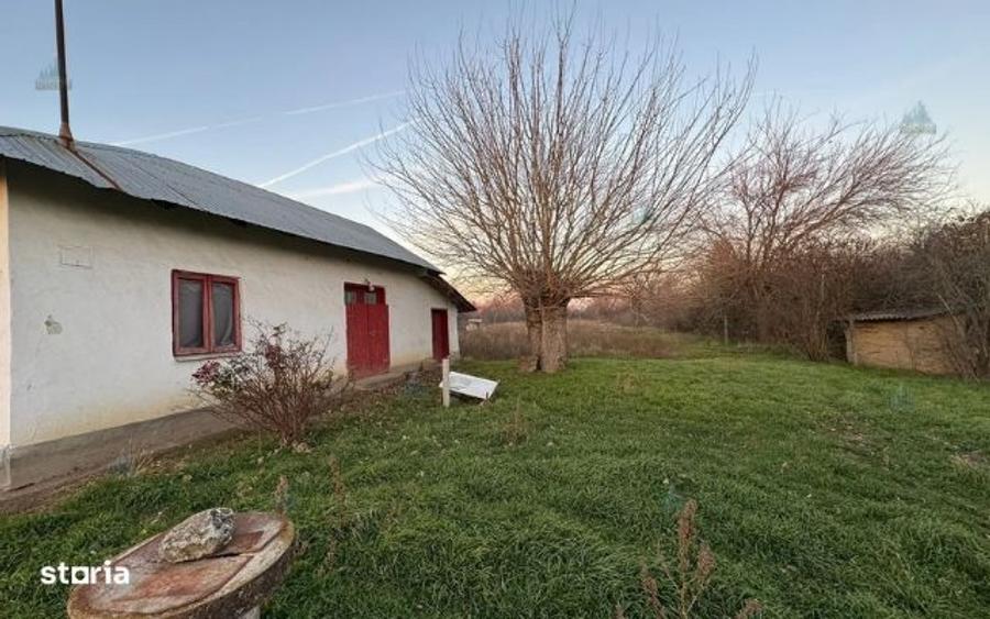 De Vanzare Teren 3.488 mp Drumul Stanestiului,Giurgiu - 4
