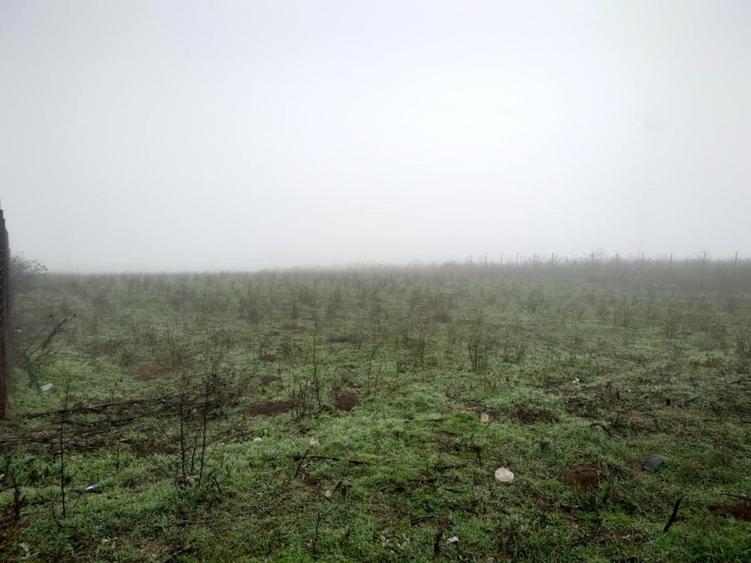 Teren de 6600 mp, în Vânători