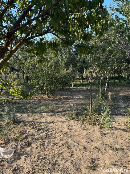 Casă cu 5 camere cu Teren 1800 Mp în Crai Nou