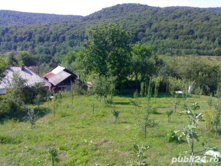 Teren de 4000 mp, în Tutana
