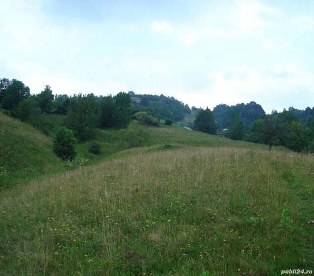 Teren de 25500 mp, în Vișagu