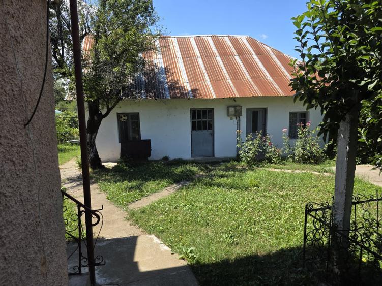 Casă individuală cu 4 camere cu Teren 2200 Mp în Curtișoara