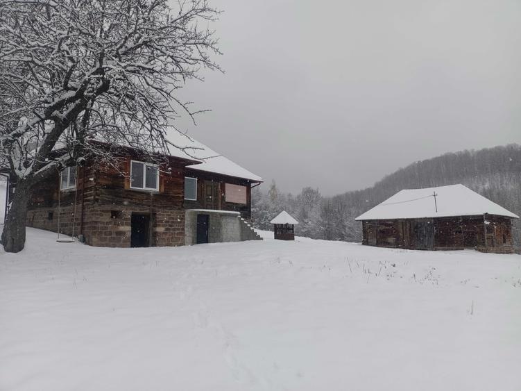 Casă cu 4 camere în Negreni