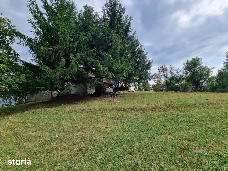 Teren de 21537 mp, în Noua