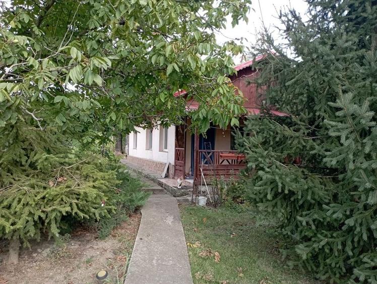 Casă cu 3 camere în Central