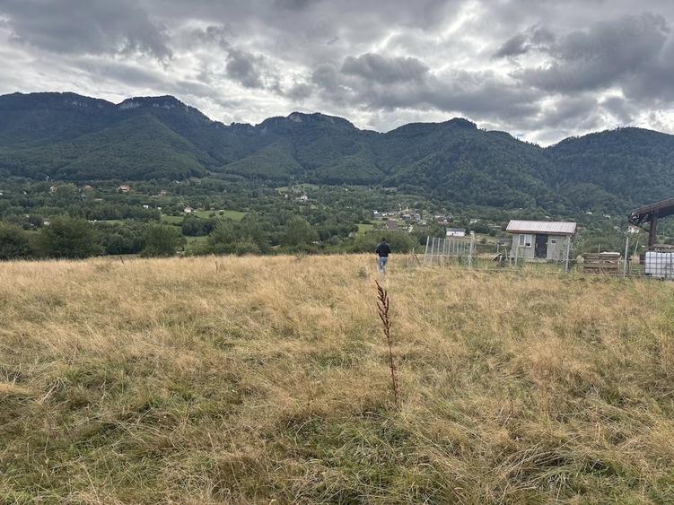 Teren de vanzare 2100 m2 zona Tohanita Zarne?ti - 1