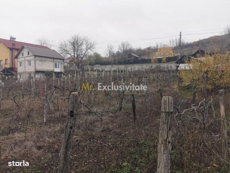 Casă cu 4 camere cu Teren 7000 Mp în Argetoaia