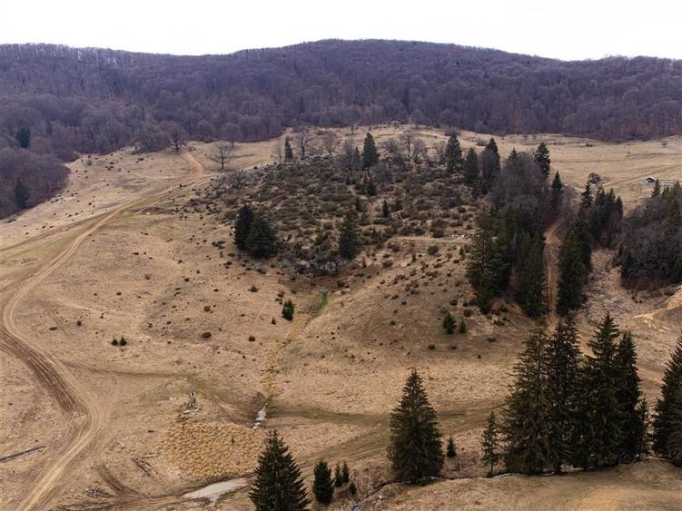 Teren Construcții intravilan de 6500 mp, în Poiana Brașov