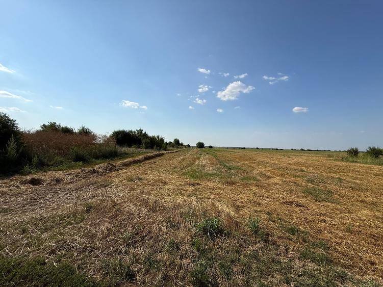 Teren Construcții intravilan de 5000 mp, în Dârza