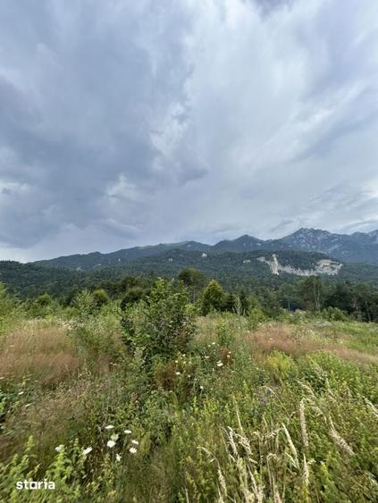 Teren de 1000 mp, în Cumpătu